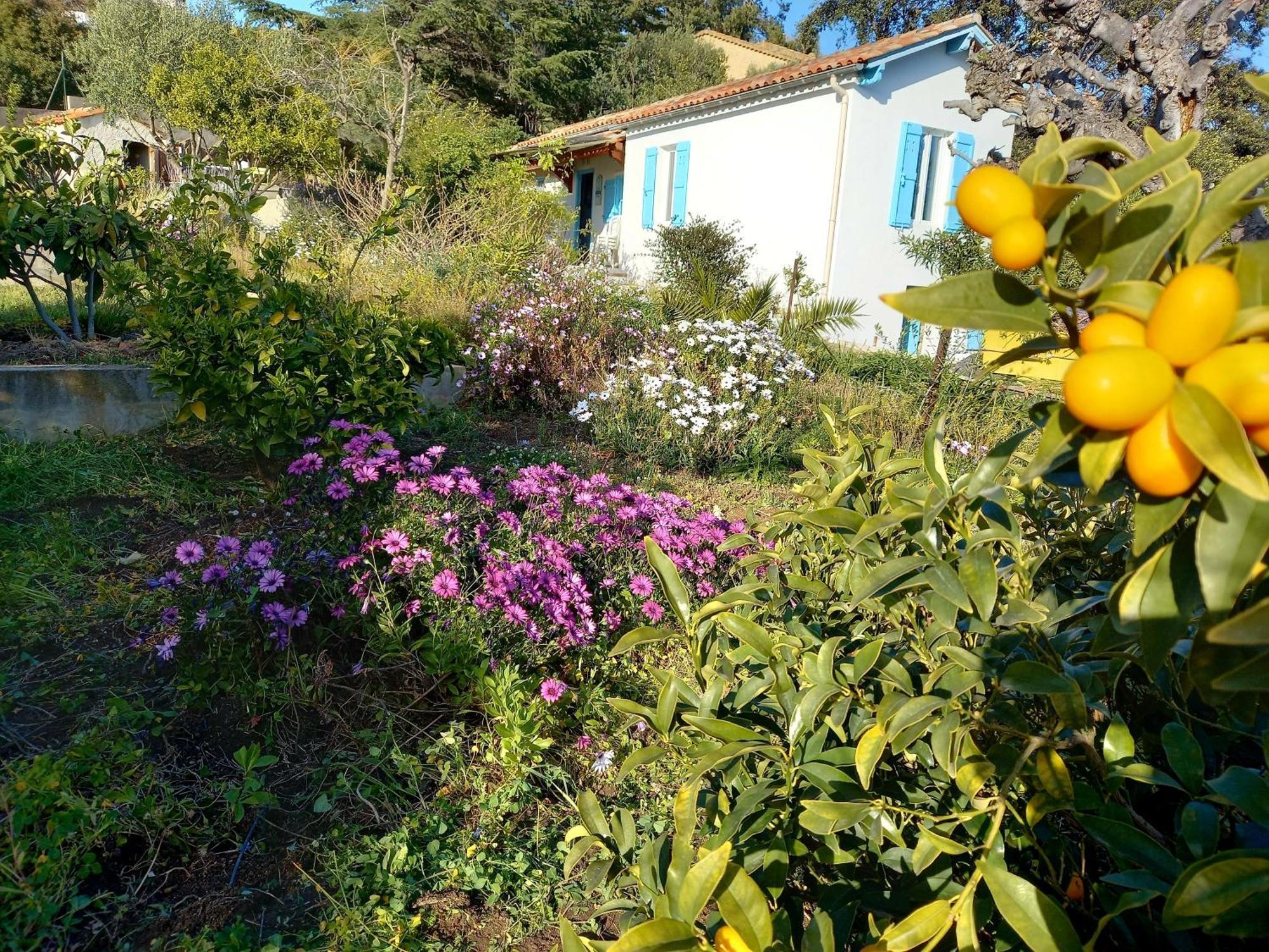Maison 4 faces a la mer Le Lavandou Extérieur photo